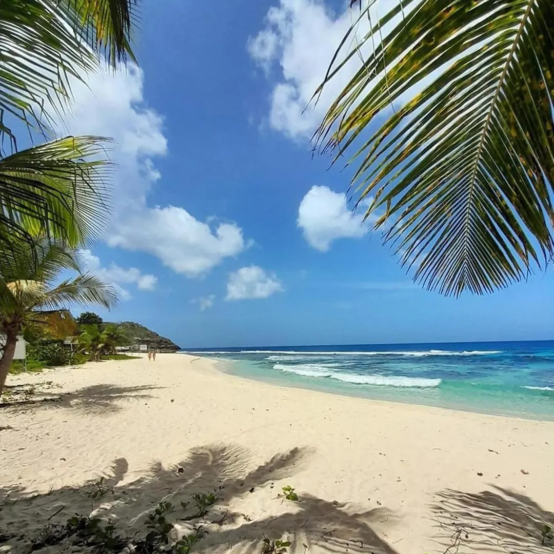 Villa Matigwa Anse-Bertrand
